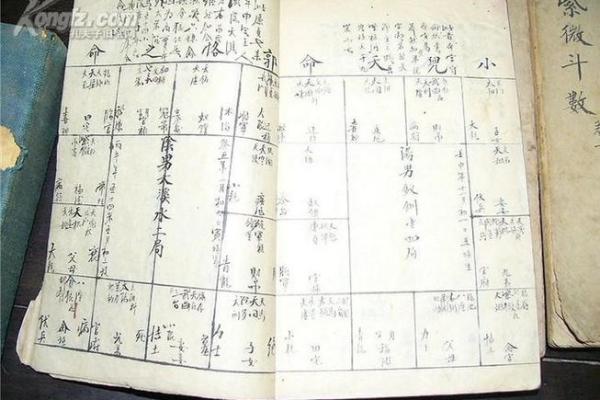 给人算命步骤图片