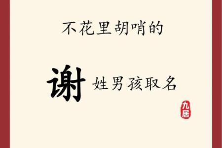 2019年6月24号卯时出生的男孩如何起名姓名