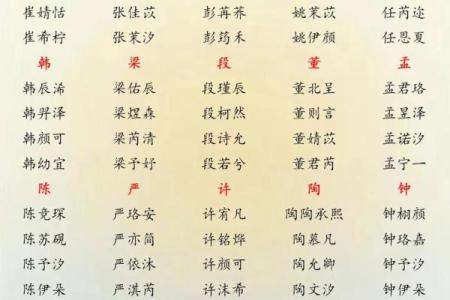 2019年6月27号寅时出生的男孩起名方法姓名