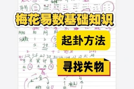 梅花易数怎么排盘法