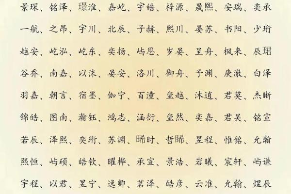 2019年3月25号寅时出生的男孩起名方法姓名