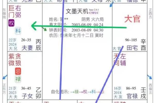 紫薇斗数看财运格局
