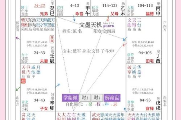 改良紫薇斗数全书
