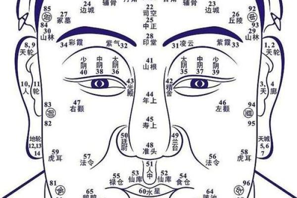 胎记算命图解好坏