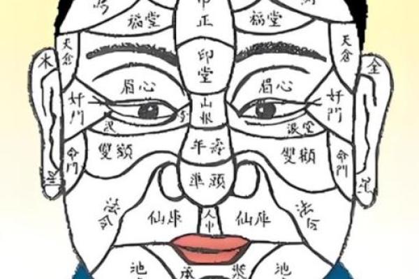 男测脸面相算命图解大全