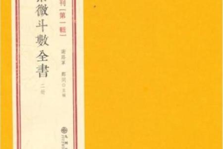 改良紫薇斗数全书
