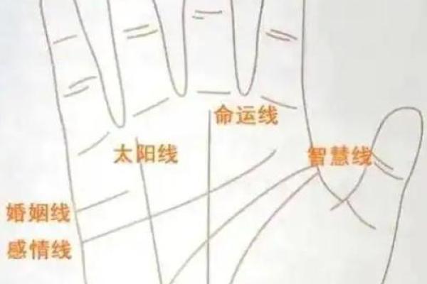 手型算命：土型手人的性格与命运