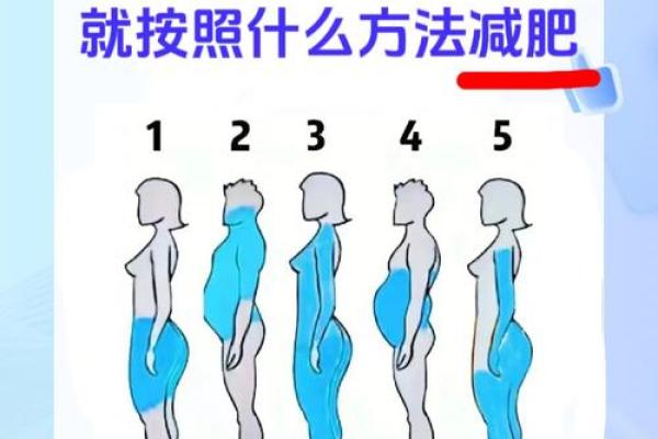 人胖与瘦八字命数组合揭秘