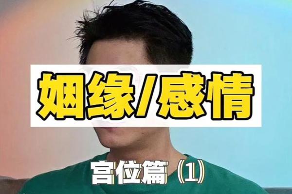 紫薇斗数看感情