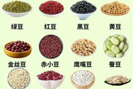 利用豆类的五行，改善健康风水