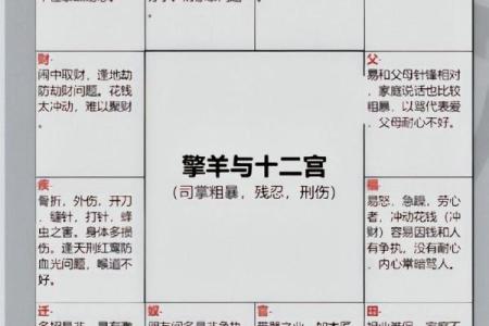 紫薇斗数看样貌