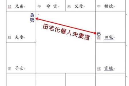 唐艺尹老师紫薇斗数算田宅宫：廉贞星坐守十二宫位置分析田产运