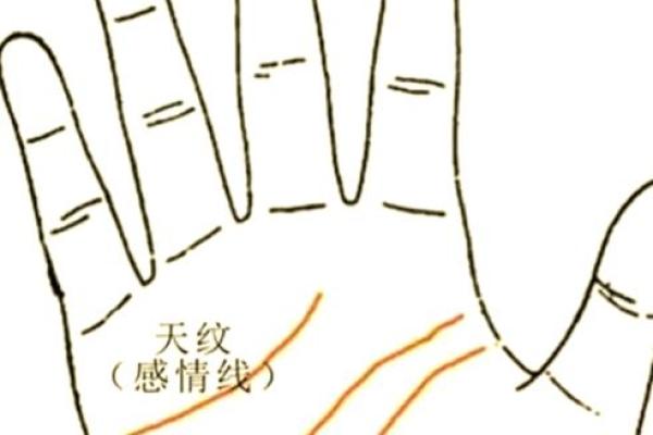 手相图解大全女 右手 算命 手掌红润柔软