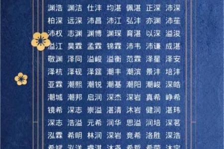 2019年6月19号寅时出生的男孩应该起什么样的名字姓名