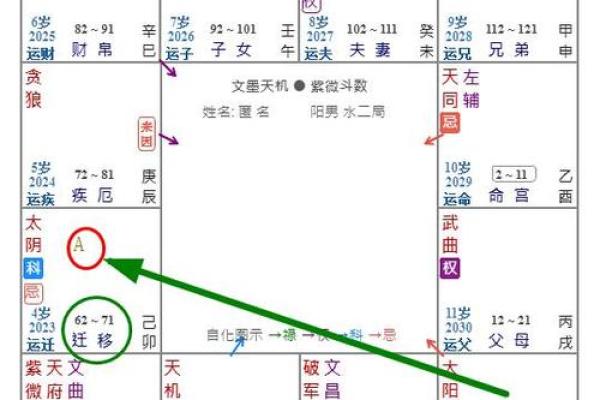 紫薇斗数看领导 紫薇斗数看领导