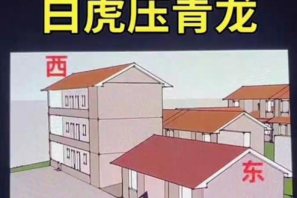 风水理论中的龙边与虎边