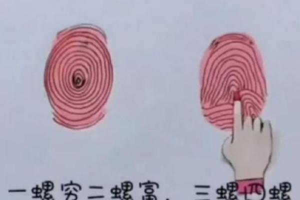 手指斗算命 手上有几个斗适合当老板