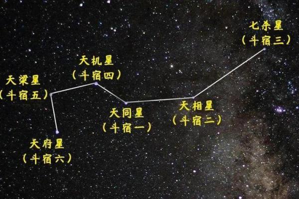 紫微斗数星宿详解天机星 紫薇星天机星？