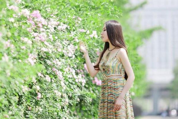 友谊缘分测试 友情缘分测试？