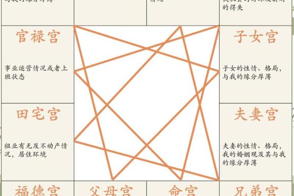 紫薇斗数命理入门基础知识