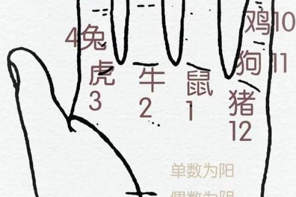 古人占卜算命时有哪些讲究