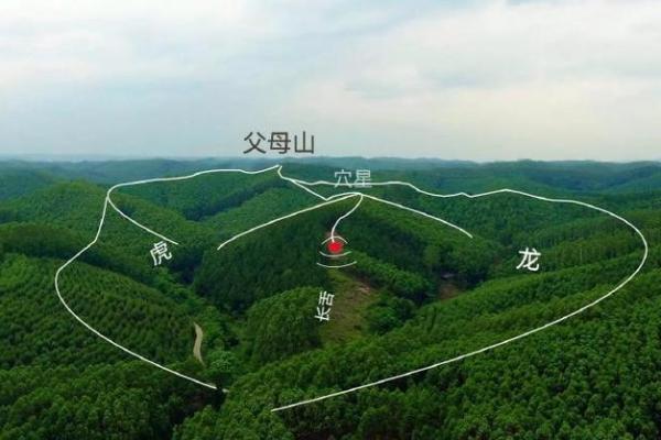 历史上有哪些真实祖坟风水故事