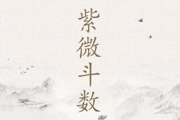 紫薇斗数吧疾厄