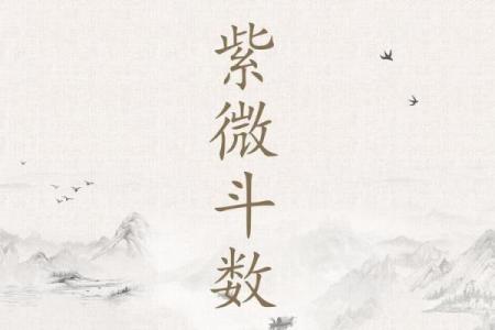 紫薇斗数吧疾厄