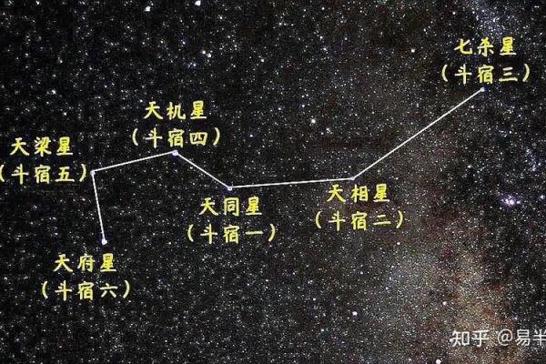 天同星在命盘中的作用