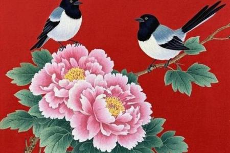 风水家里养喜鹊好吗