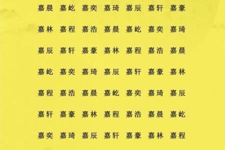 2019年出生属猪的男宝宝取名宜用字姓名