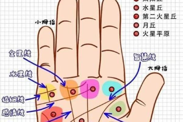 掌纹算命图解 通过手相看智慧