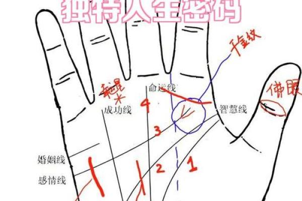 手相太阳线揭秘算命图解大全