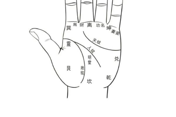 怎么看手相女八字命理详解