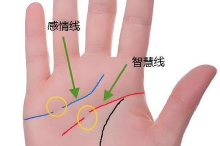 掌纹算命图解 通过手相看智慧