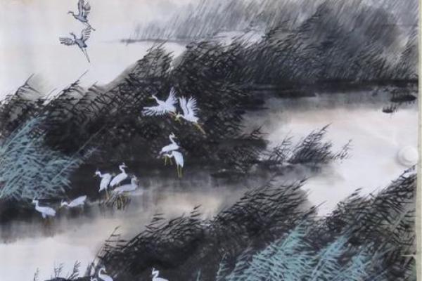 芦苇风水讲解 芦苇风水讲解