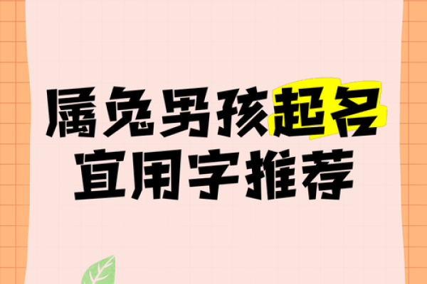 3月份出生的属兔男孩适合取什么名字姓名 3月份出生的属兔男孩适合取什么名字姓名