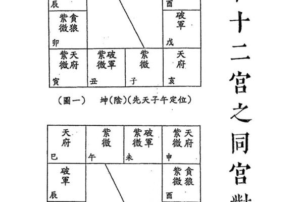 紫微斗数四化口诀,紫微斗数十二宫的角度分析
