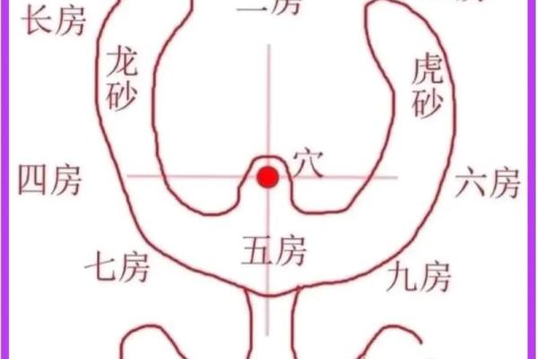 九宫八卦分房!学习风水的入门 九宫八卦分房!学习风水的入门
