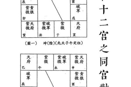紫微斗数四化口诀,紫微斗数十二宫的角度分析