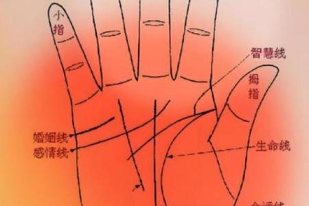 凯帝阿手相算命图解大全05