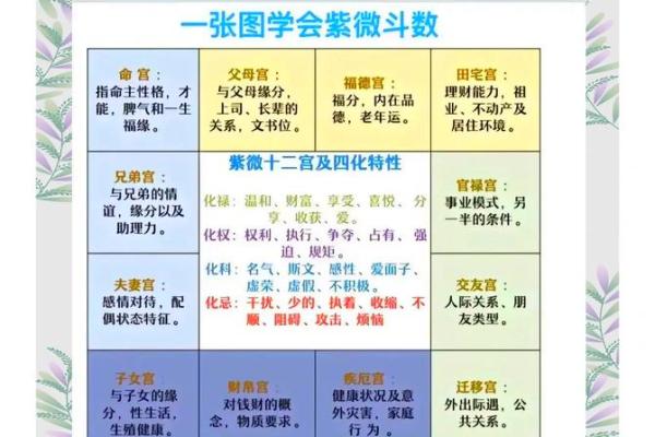 夫妻宫没有紫薇斗数