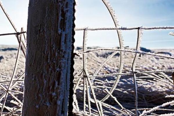 风水观点为什么总是梦见蜘蛛网呢 风水观点为什么总是梦见蜘蛛网呢