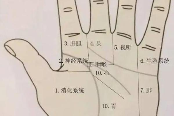 女生算命看左手吗