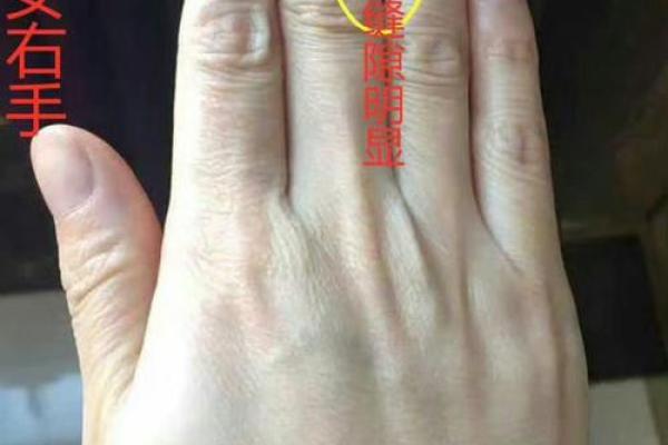 女生算命看左手吗