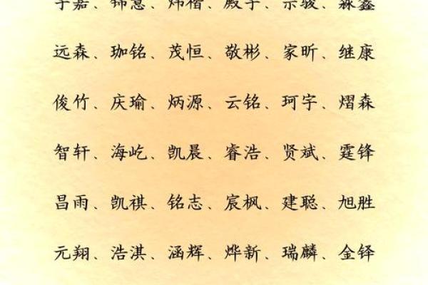 邴姓男孩名字大全-邴姓男孩起名字大全-邴姓名字大全姓名