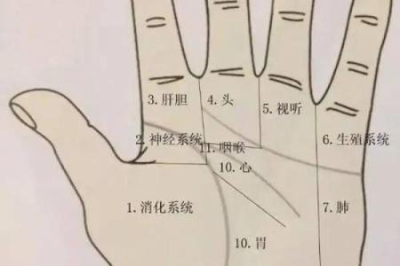 女生算命看左手吗