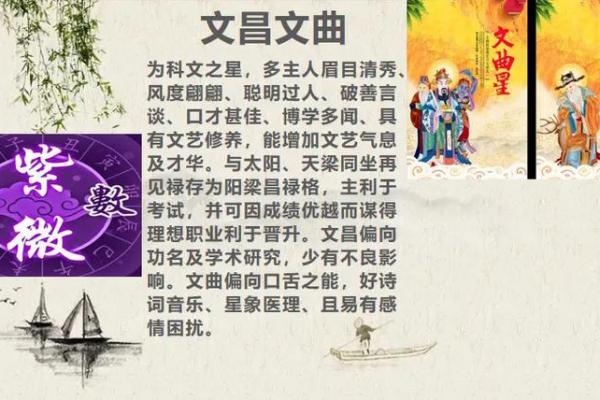 文曲紫薇斗数