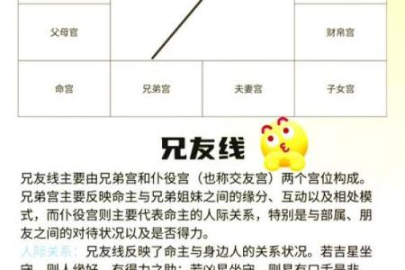 紫微斗数免费算命详解,紫微斗数免费算命神巴巴网