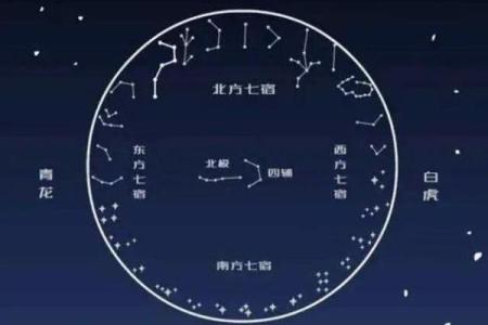 紫薇斗数天月星